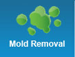 Mold Removal Jacksonville FL