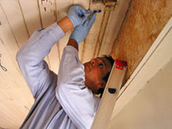 Mold Removal Jacksonville